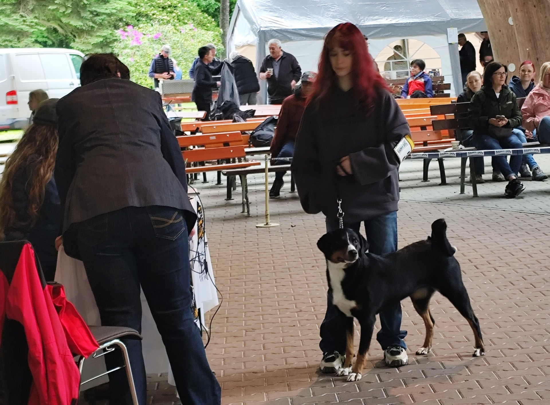 Boogie-Woogie Vagabund's Hof klubová výstava Bad Lausick Německo 25.5.2025
